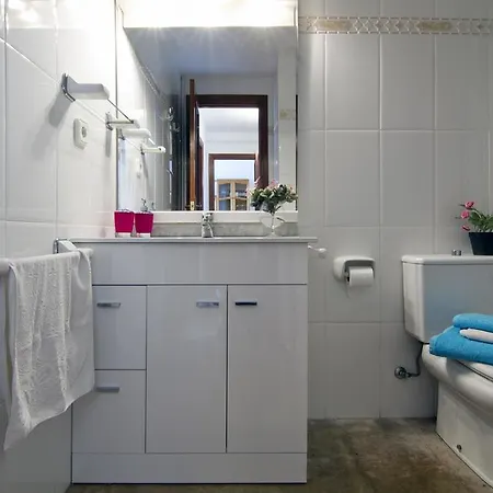 Apartman Ribes *