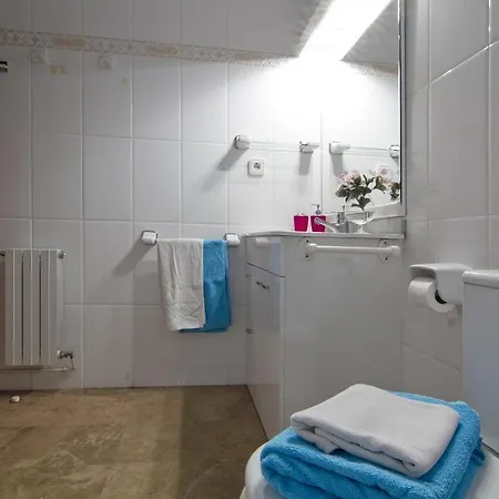 Apartman Ribes *